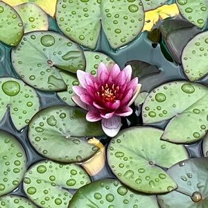 Meet your Posher, Claire